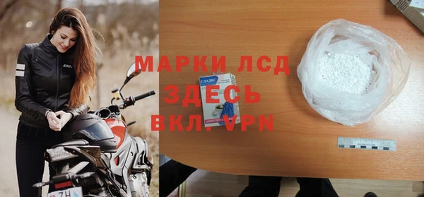 хмурый Белокуриха
