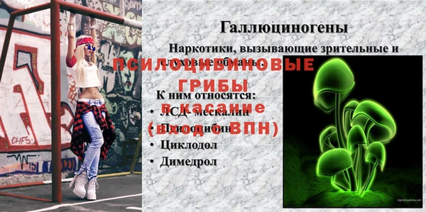 хмурый Белокуриха