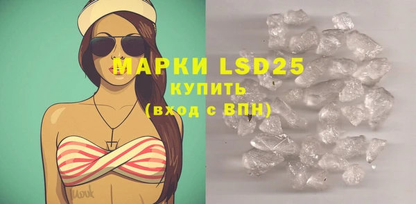 хмурый Белокуриха