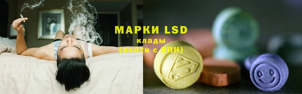 хмурый Белокуриха
