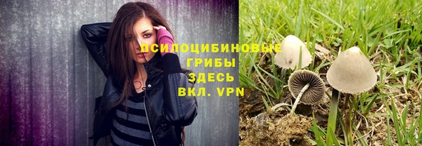 шишки Баксан